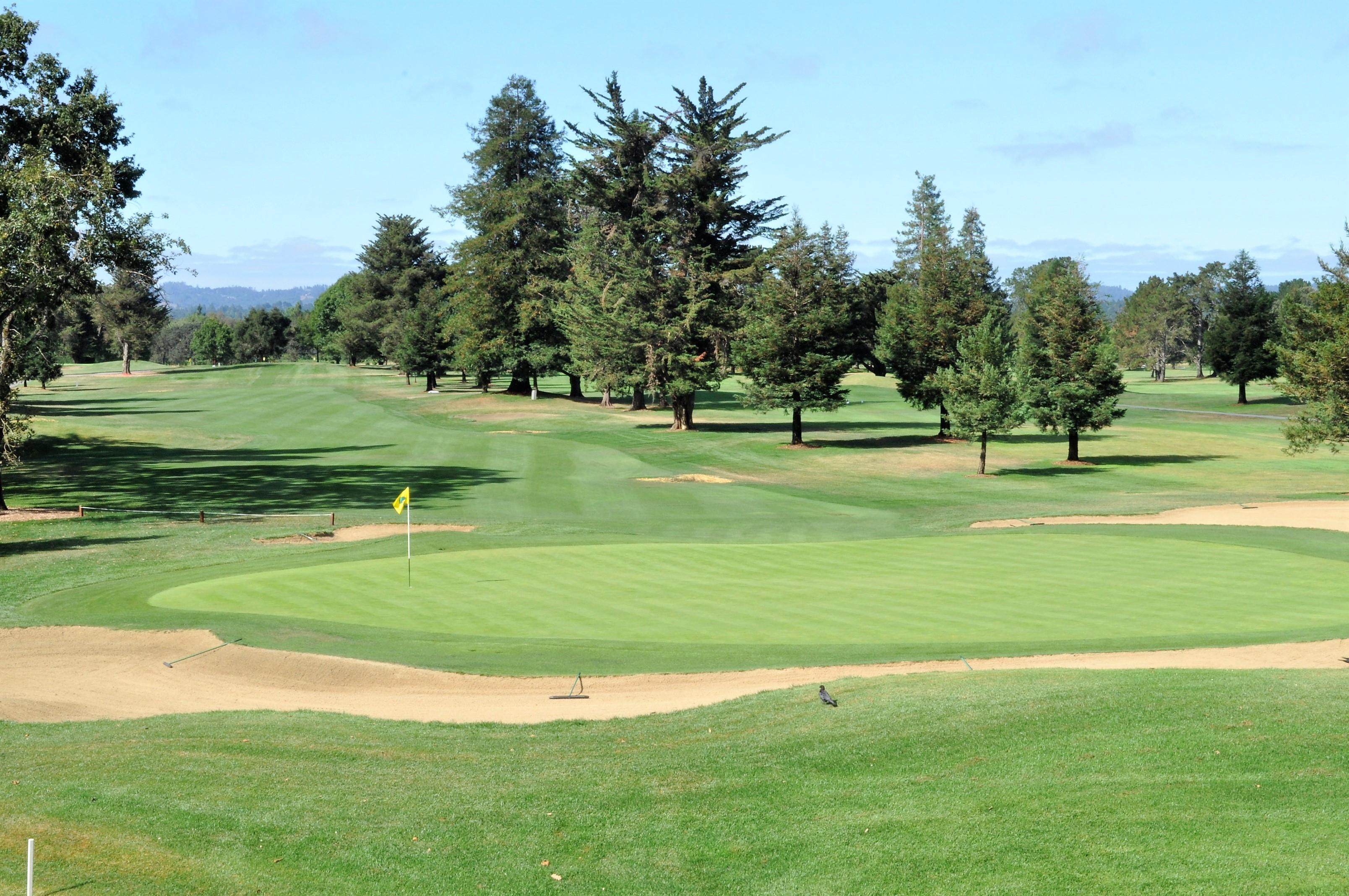 Friedman's 25th Annual Golf Tournament Benefiting Schools Plus