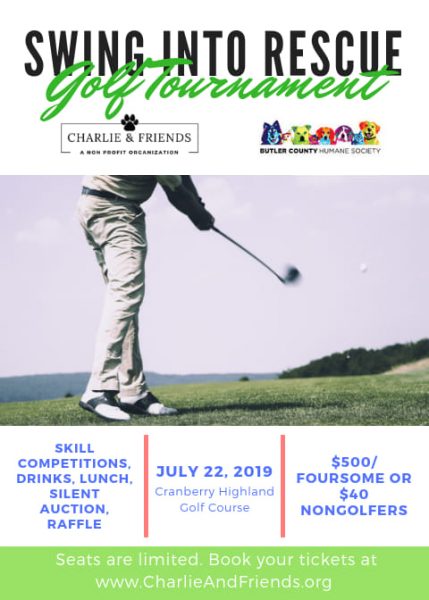 Swing Into Rescue Golf Tournament | GolfTourney.com | Find Golf Tournaments