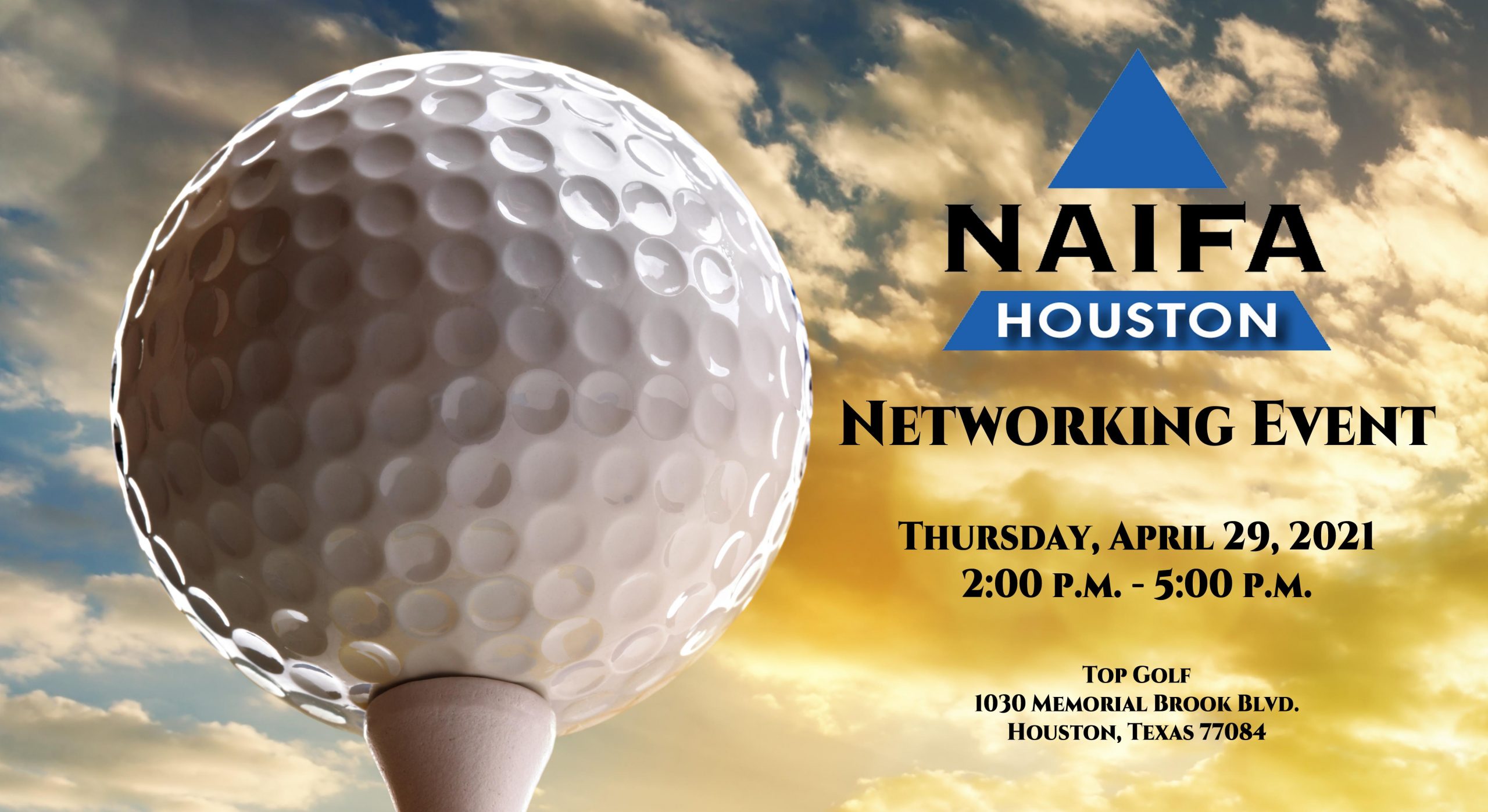 NAIFA Houston Top Golf Event